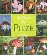 Portada de Lexikon der Pilze