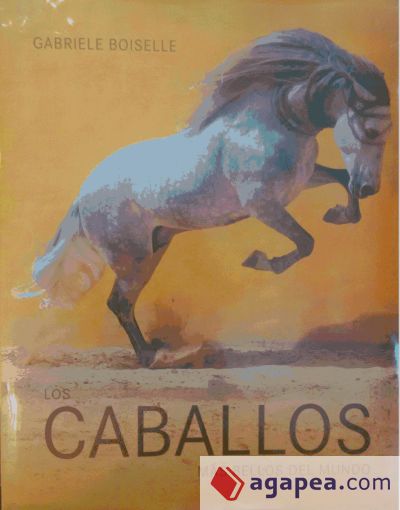 Los caballos más bellos del mundo