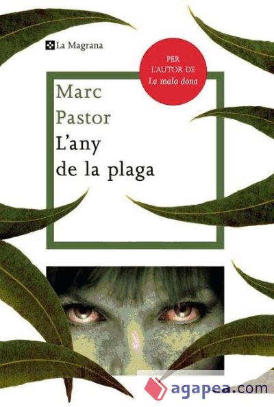 L'any de la plaga (Ebook)