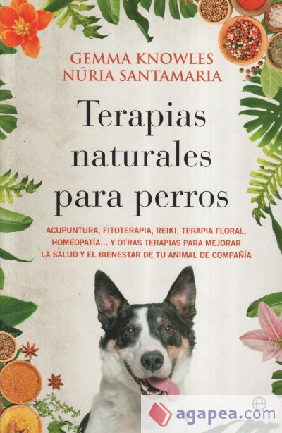 Terapias naturales para perros