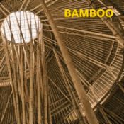 Portada de BAMBOO- ESPAÑOL