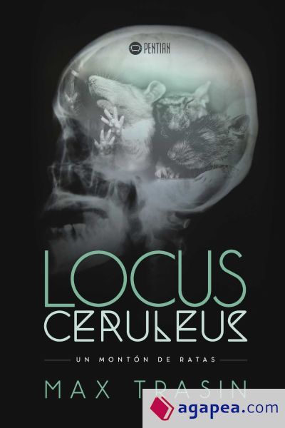 Locus Ceruleus