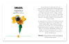 LEGO Botanicals - Flores silvestres