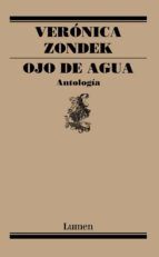 Portada de Ojo de agua (Ebook)