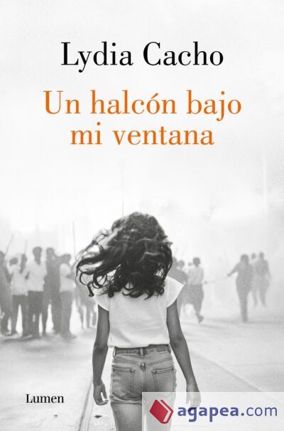 Un halc&oacute;n bajo mi ventana