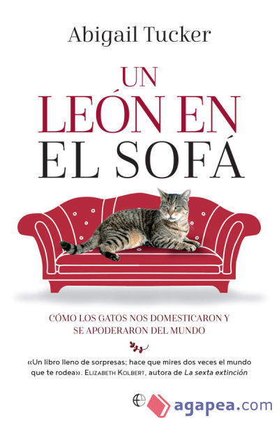 Un león en el sofá