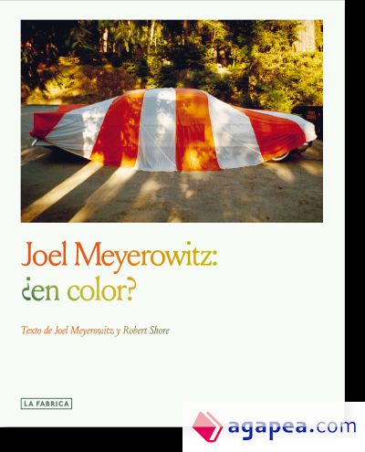 Joel Meyerowitz:¿en color?