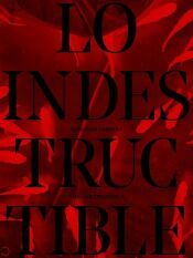 Portada de Lo indestructible