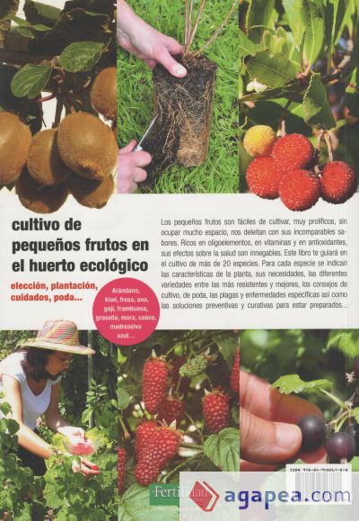 Cultivo de pequeños frutos en el huerto ecológico