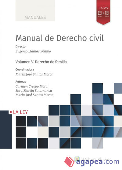 Manual de derecho civil, V. Derecho de familia