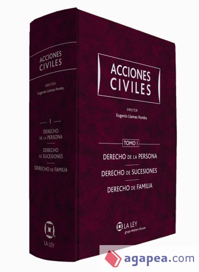 ACCIONES CIVILES TOMO I: DERECHO DE LA PERSONA. DERECHO DE SUCESIONES ...