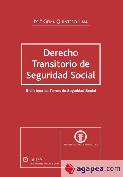 Derecho Transitorio de la Seguridad Social (Ebook)