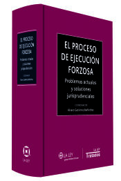 Portada de El proceso de ejecución forzosa : problemas actuales y soluciones jurisprudenciales