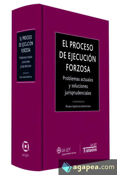 El proceso de ejecución forzosa : problemas actuales y soluciones jurisprudenciales