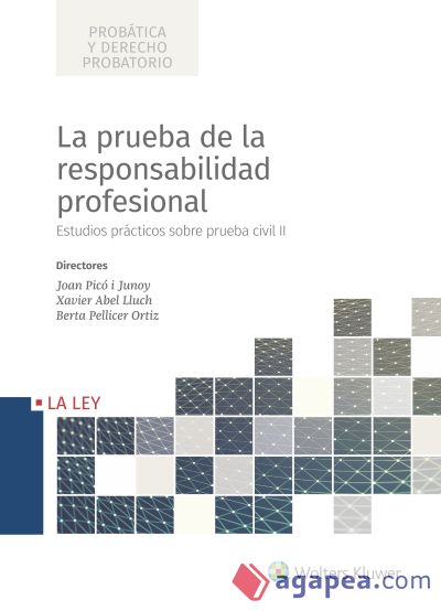 La prueba de la responsabilidad profesional