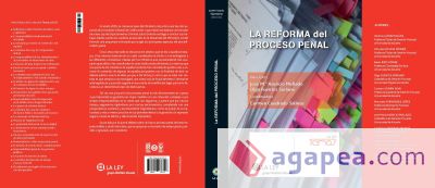 La reforma del proceso penal