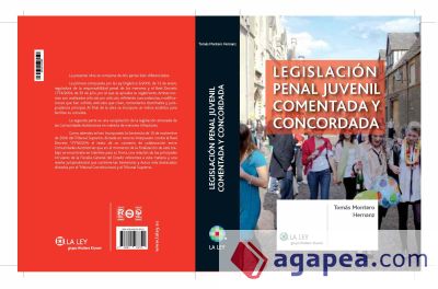 Legislación penal juvenil comentada y concordada