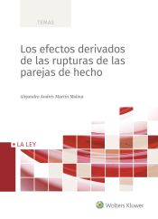 Portada de Los efectos derivados de las rupturas de las parejas de hecho