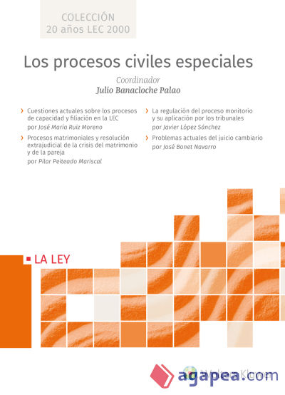 Los procesos civiles especiales