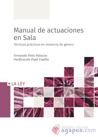 Manual de actuaciones en Sala. Técnicas prácticas en violencia de género