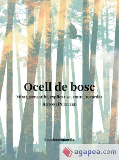 Ocell de bosc