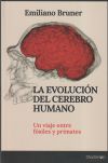 La evolución del cerebro humano