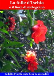 Portada de La folle d'Ischia o il fiore di melograno (Ebook)