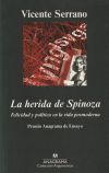 La herida de Spinoza