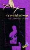 La noche del gato negro