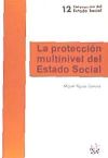 La protección multinivel del Estado Social