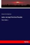 Labor among Primitive Peoples: Third Edition