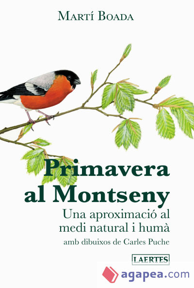 Primavera al Montseny