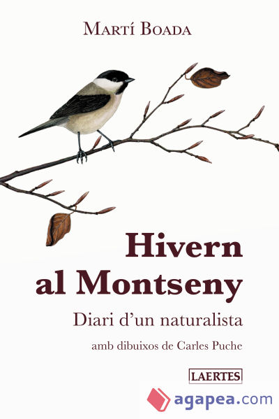 Hivern al Montseny