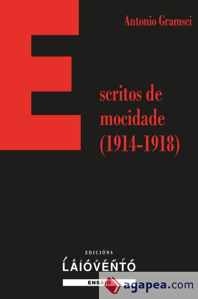 ESCRITOS DE MOCIDADE (Ebook)