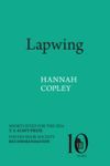 Lapwing