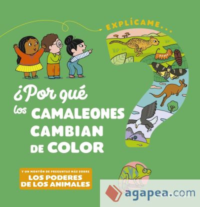 ¿Por qué los camaleones cambian de color?