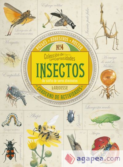 Colección de curiosidades. Insectos