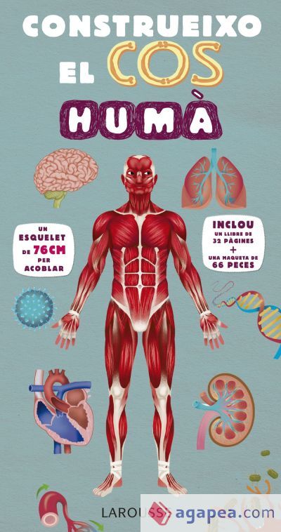 Construeixo el cos hum&agrave;
