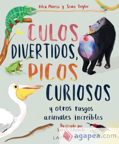 Culos divertidos, picos curiosos