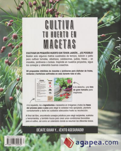 Cultiva tu huerto en macetas