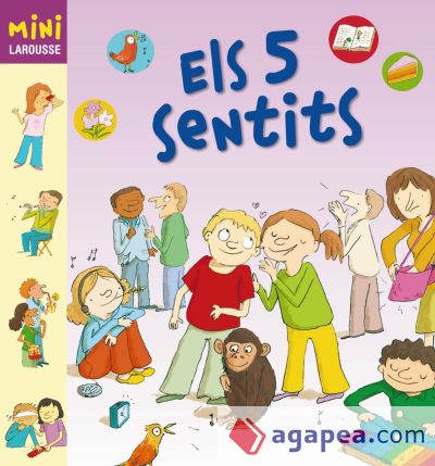 Els 5 sentits