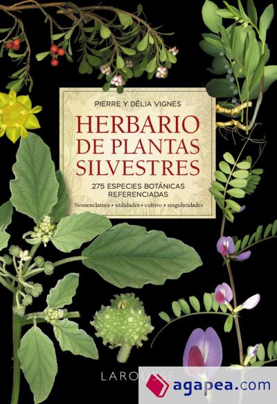 Herbario de plantas silvestres