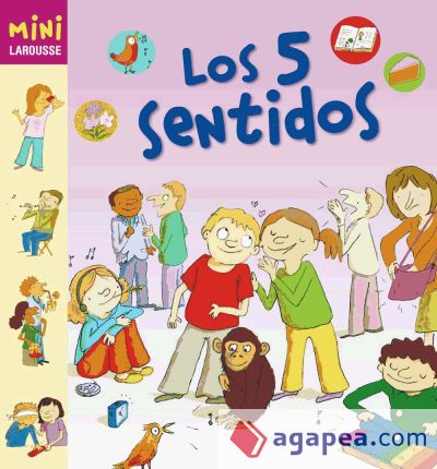 Los 5 sentidos