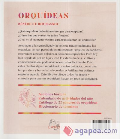 Orquídeas