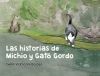 Las historias de Michio y Gato Gordo