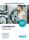 Lavandero/a. Temario Materia Com&uacute;n. Servicio Aragon&eacute;s de Salud (SALUD)