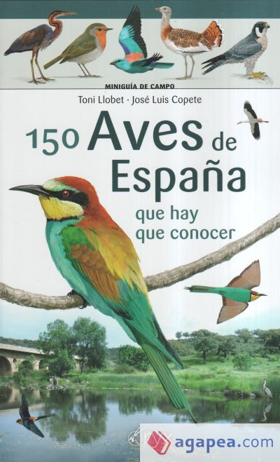 150 aves de España: que hay que conocer