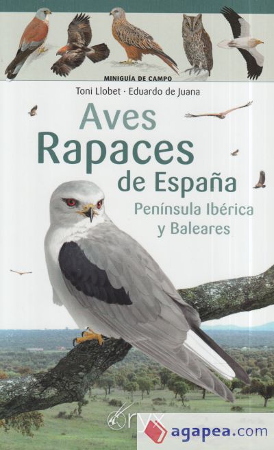 Aves rapaces de España, Península Ibérica y Baleares