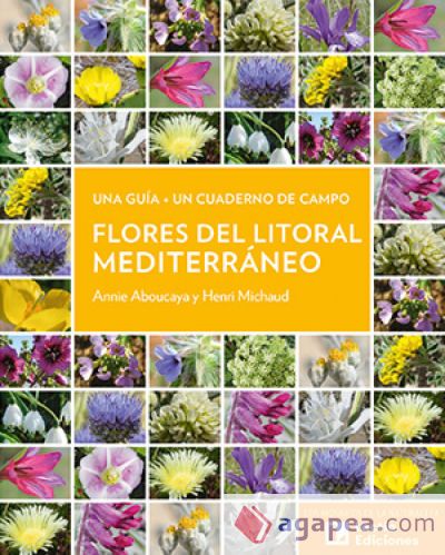 Flores del litoral mediterr&aacute;neo