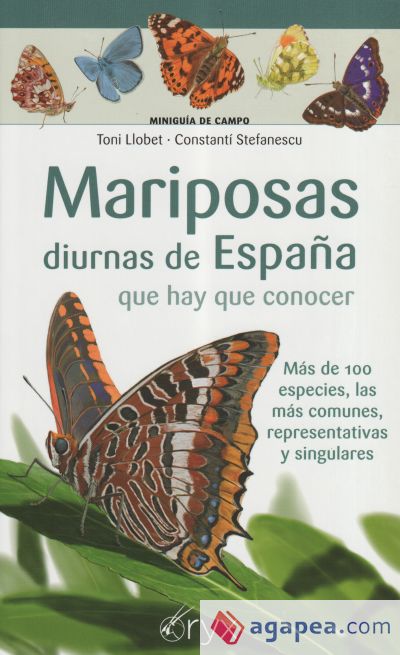 Mariposas diurnas de España que hay que conocer: Más de 100 especies, las más comunes, representativas y singulares